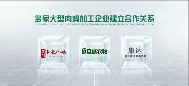 【国家级农民合作社示范社】德州市陵城区利农养殖专业合作社