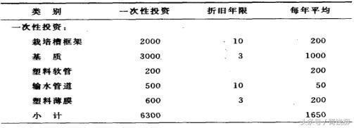 无土栽培的生产成本与经济效益