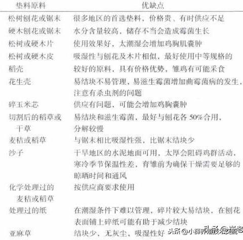 选用养鸡垫料？沙子，谷壳，草木灰，刨花还是锯末呢？哪个最好