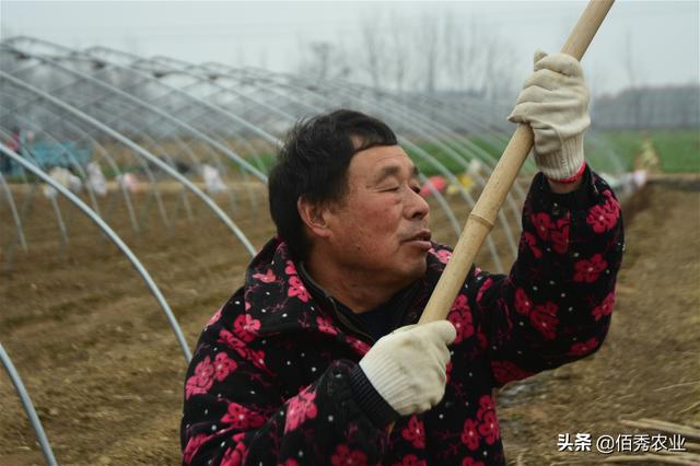 农民搞种植不赚钱？记住4点要素，农业路上就能少风险