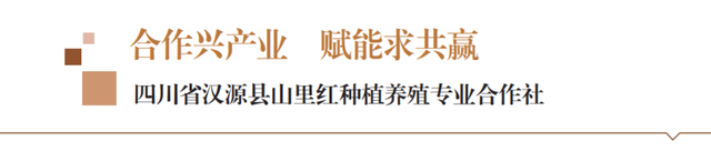 合作兴产业 赋能求共赢——四川省汉源县山里红种植养殖专业合作社