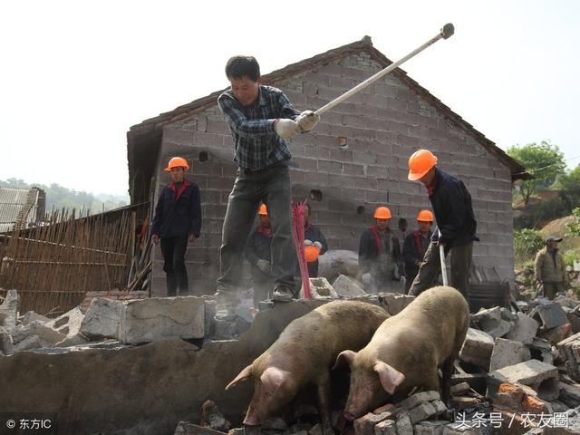 新建养殖场需要哪些手续，没有办理手续会受到哪些处罚，如何补救