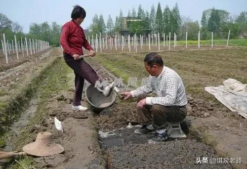 营养土的配制方法