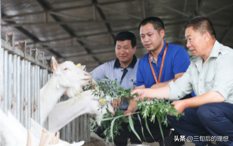 精准畜牧和传统畜牧方式的差异，与时俱进的养殖能有效增产