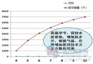 黄颖鱼养殖技术(高手是这样养黄颡的以珠三角黄颡鱼为例)