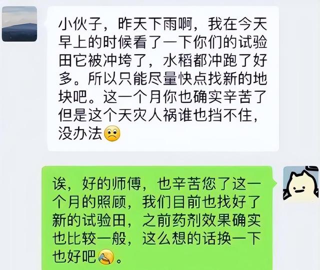 白菜萝卜杂交惊艳收成，农校老师惊呆了！