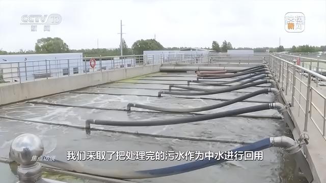 焦点访谈丨守护“蓝色家园”