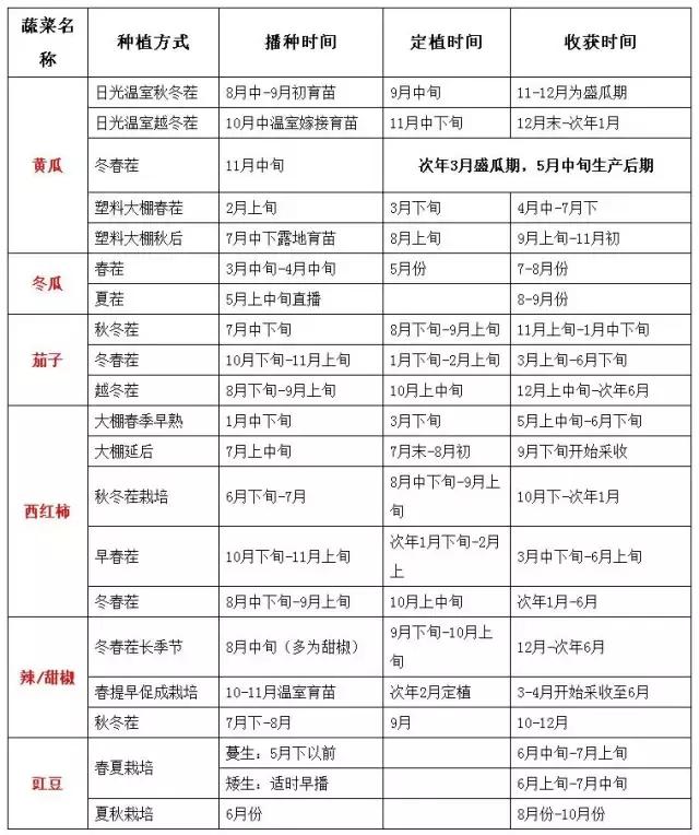 「最全」新农人应该知道的蔬菜高效栽培模式（附大棚种植时间表）