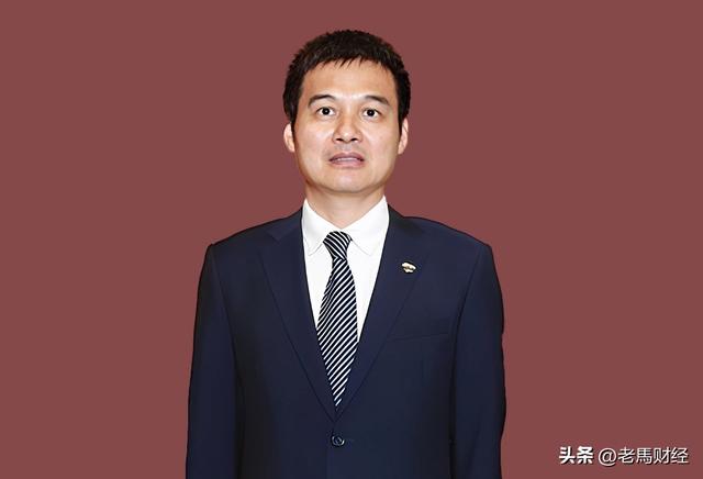 湖北黄石2023年十大富豪出炉，总身价超800亿，大冶独占六席