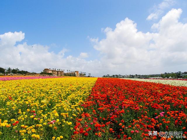 9月广东旅游好去处，广东秋天最美的10个景点，周边自驾游一日游