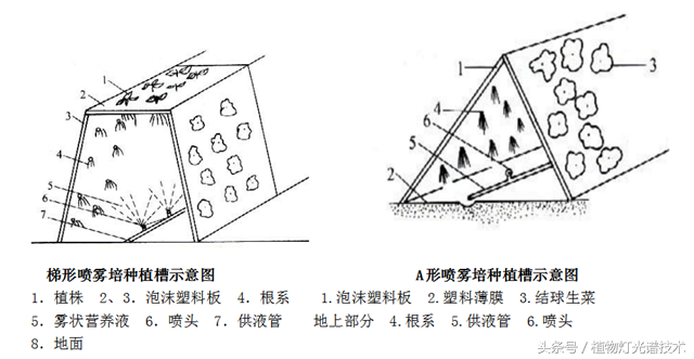 水培技术——③雾陪技术