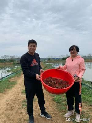 那里有养龙虾养殖基地(虎年第一笼这里的反季节小龙虾养殖获重大突破产值超万)