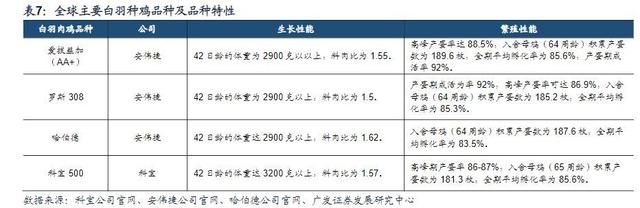 白羽鸡行业报告：全球育种双寡头格局，关注国产种鸡替代进程