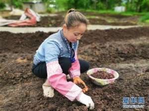 蚯蚓养殖场地图片欣赏(肉牛、蚯蚓与肥料——记贵州一个贫困山村的循环农业)