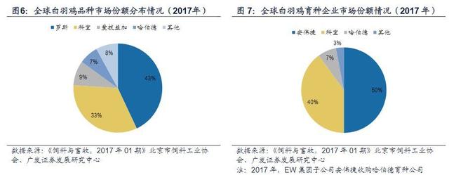 白羽鸡行业报告：全球育种双寡头格局，关注国产种鸡替代进程