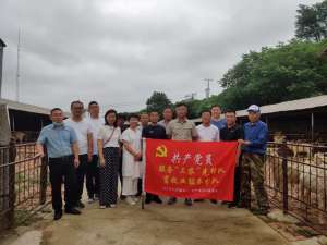 辽阳养殖基地(辽阳弓长岭区小安平村组织养殖户赴丹东凤城考察绒山羊养殖)