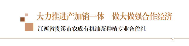 大力推进产加销一体 做大做强合作经济——江西省贵溪市农成有机油茶种植专业合作社