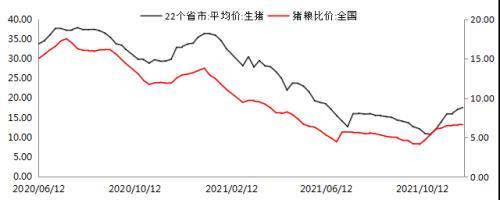 生猪2022年年度投资策略：栖乌绕树冰霜苦，哀雁横天关塞难