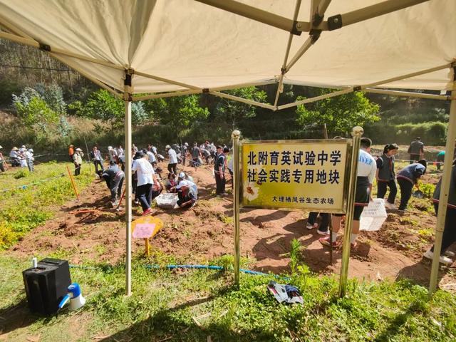 从生态农庄到社会实践教育基地 栖凤谷生态农场的“蝶变”之路