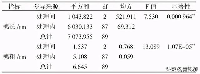 浙江景宁香榧大苗定砧嫁接技术试验