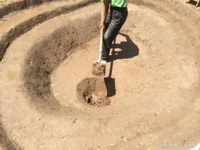 自己动手在院子里建造一个生态池塘的步骤分享