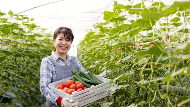 解密｜真正的有机食品是如何种植出来的，你真的了解吗？