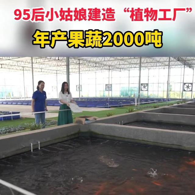 95后姑娘建占地43亩“植物工厂”，1亩发挥5亩效益，年产20000吨