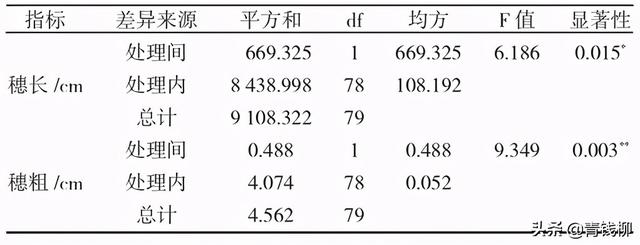 浙江景宁香榧大苗定砧嫁接技术试验