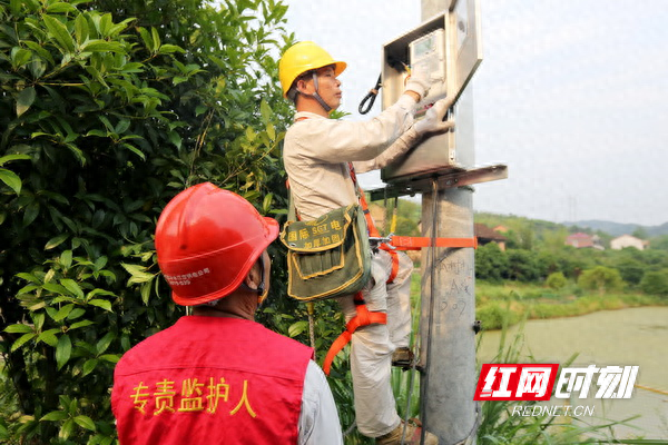 国网冷水江：“村网共建”乡村养殖电更足