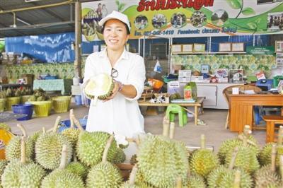 泰国榴莲商：“有了中国市场，我们走上了致富路”