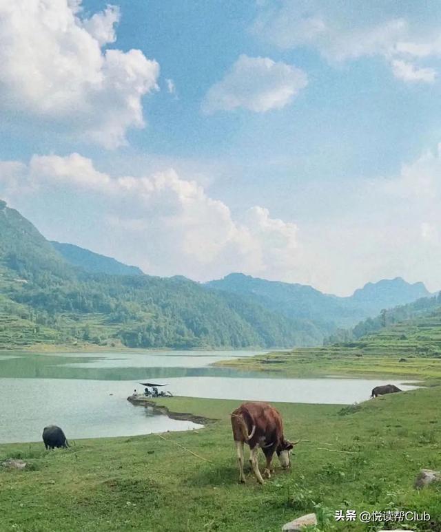 享受美妙慢生活，快去安顺这些地方来一场精致的露营