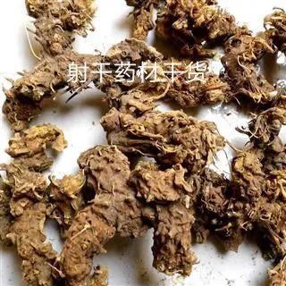 射干药材价格不断上涨 亩效益 30000多元今后几年都在高峰期