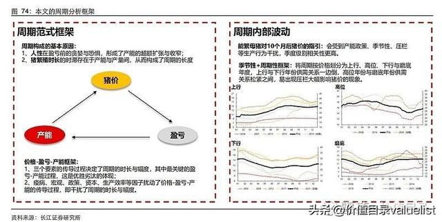 中国猪周期深度复盘、推演与展望