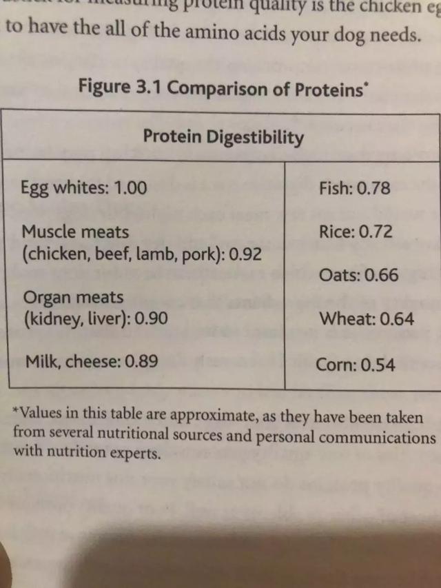 乐施昆虫粮的12个关于低蛋白猫狗粮的谎言。