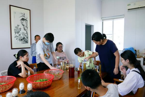 打造家门口的中草药科普园，金山这个地方让中医药服务变得“触手可及”