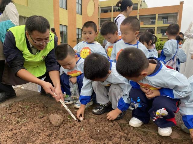 小种植 大奥秘——遂宁市安居区第三幼儿园开展第二届快乐种植活动