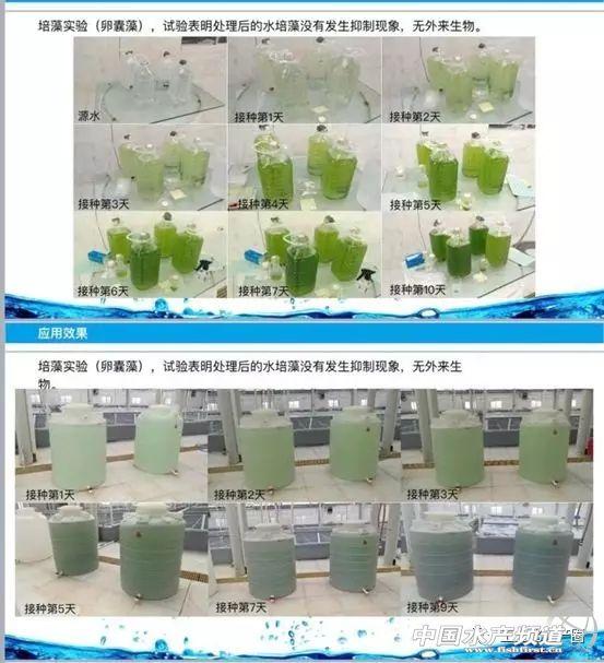 小分子水，能否重新激发水产养殖的活力