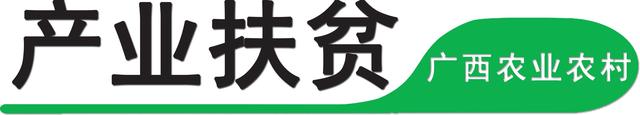 广西南宁江南区：江西镇同宁村扶贫肉鸽喜入“新家”