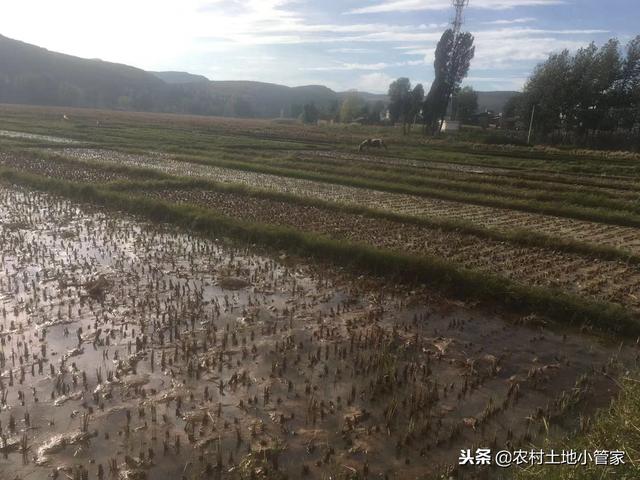 曲靖沾益区280亩综合养殖用地出租