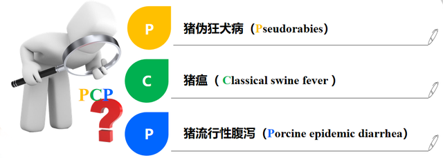 与科前生物对话——保猪稳产振兴猪业PCP中国猪病净化大行动