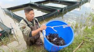 曲靖龙虾养殖场(乡村振兴风生水起麒麟区沿江街道三大特色产业做活“鱼米之乡”)