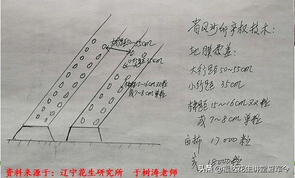 花生起垄的具体数据分析与起垄的5大要求，种植花生收藏转发版