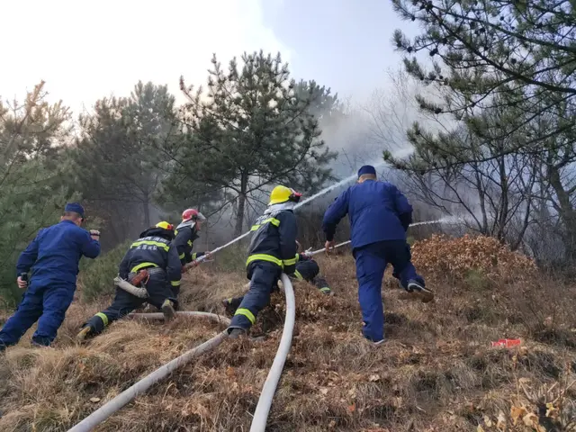 逆火而行勇打冲锋 决战五台山风景名胜区山火——太原消防增援五台山山火扑救纪实