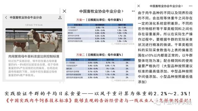 《中国实践肉牛饲养技术标准》的价值与意义