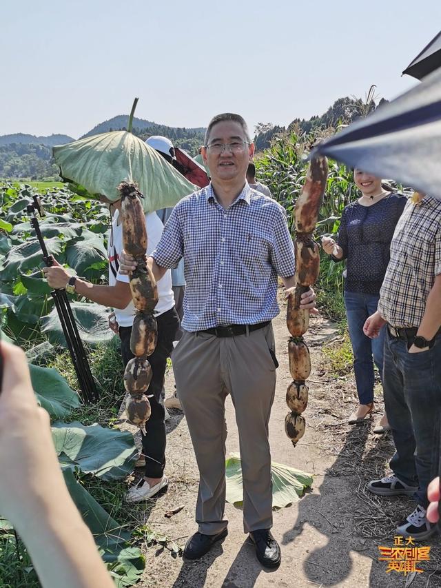 种藕8000余亩，产值5000多万，带动3000余人，来听听他的致富经