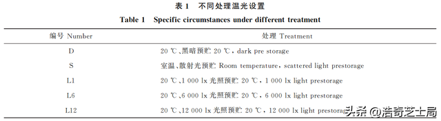 采后不同光照预处理，对雾培马铃薯原原种的绿变程度等有何影响？