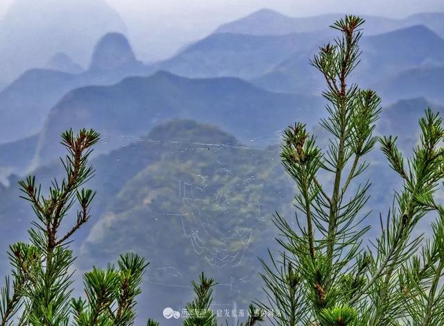 甘肃灵感之旅 · 天水｜行摄派 陇上光影