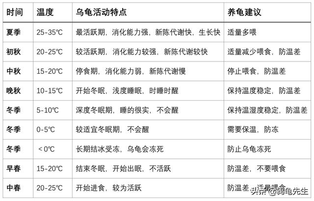 只有草龟才有资格叫乌龟，鸫龟先生干货分享草龟饲养全套解决方案