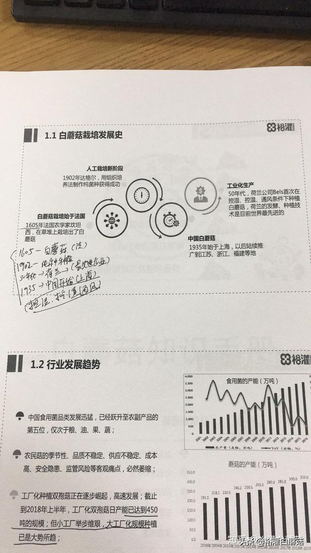 神奇的现代农业！白蘑菇是怎么让人类给种出来的？