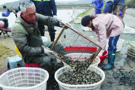 海水养殖围塘能放养多少种水产品 六横养殖户从立体混养中找到了增产增收答案